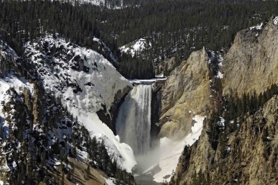 Grand Canyon of Yellowstone, Lower Falls, Artists Point-042209-YNP-#0091.jpg