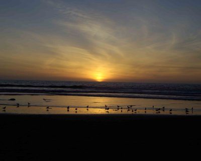 Sunset-012806-Silver Strand State Beach, CA-#0494.jpg