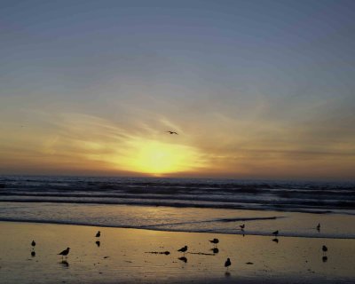 Sunset-012806-Silver Strand State Beach, CA-#0502.jpg