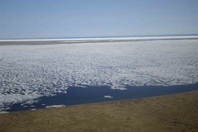 Coastal Plain, Icy Reef, Barter Island, from plane-062909-ANWR, AK-#0090.jpg