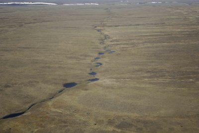 Coastal Plain, from plane-062909-ANWR, AK-#0032.jpg