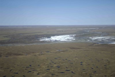Coastal Plain, from plane-062909-ANWR, AK-#0033.jpg
