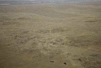 Coastal Plain, from plane-062909-ANWR, AK-#0047.jpg