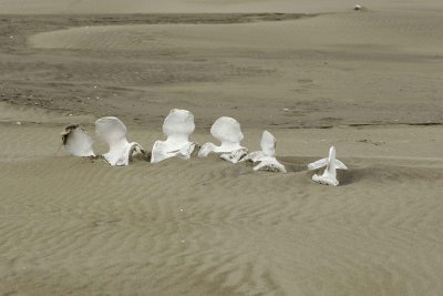 Whales Bones, Beach-071710-North Spit, Togiak NWR, AK-#0068.jpg