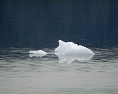 Iceberg, Margarie and Grand Pacific Glaciers-070710-Tarr Inlet, Glacier Bay NP, AK-#0108.jpg