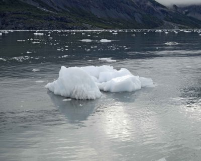 Iceberg-070710-Tarr Inlet, Glacier Bay NP, AK-#0504.jpg