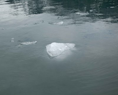 Iceberg-070710-Tarr Inlet, Glacier Bay NP, AK-#0506.jpg
