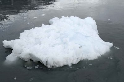 Iceberg-070710-Tarr Inlet, Glacier Bay NP, AK-#0524.jpg