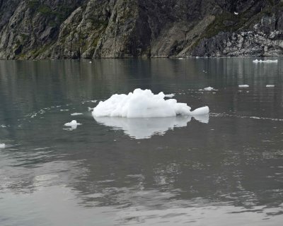 Iceberg-070710-Tarr Inlet, Glacier Bay NP, AK-#0534.jpg