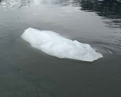 Iceberg-070710-Tarr Inlet, Glacier Bay NP, AK-#0555.jpg