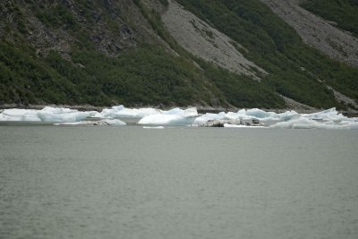 Icebergs-070510-McBride Glacier, Muir Inlet, Glacier Bay NP, AK-#0678.jpg