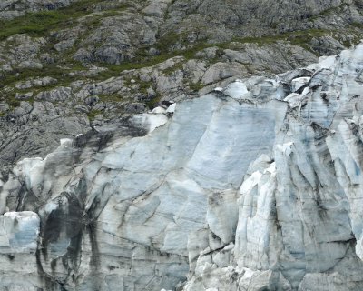Lamplugh Glacier-070710-Glacier Bay NP, AK-#1262.jpg