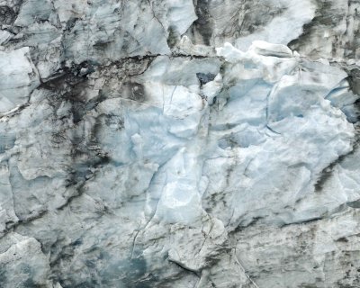 Lamplugh Glacier-070710-Glacier Bay NP, AK-#1266.jpg