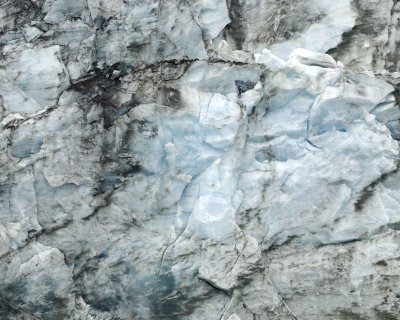 Lamplugh Glacier-070710-Glacier Bay NP, AK-#1306.jpg