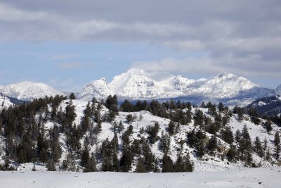Barronette Peak, 10,404 ft-021708-Boulders, Lamar Valley, Yellowstone Natl Park-#0614.jpg