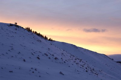 Sunrise-021808-Lamar Valley, Yellowstone Natl Park-#0819.jpg