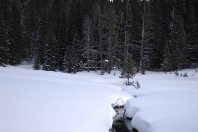 Warm Creek-021708-Yellowstone Natl Park-#0610.jpg
