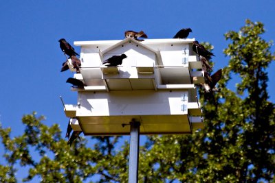 IMG_9366.jpg