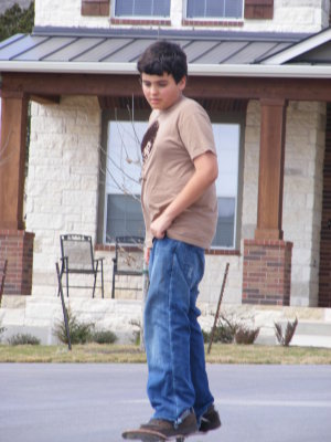 forrest