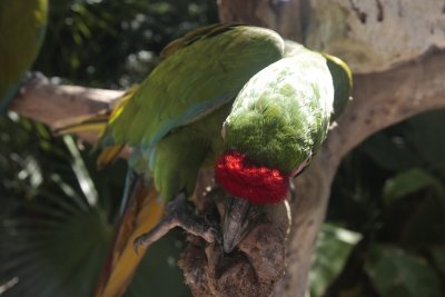 xcaretpark