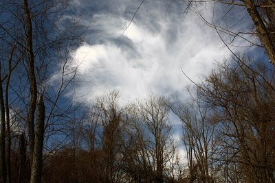 g1/40/649940/3/110020572.tTFp0R5f.jpg