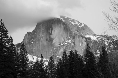IMG_1230.jpg