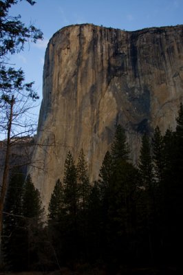 IMG_1320.jpg