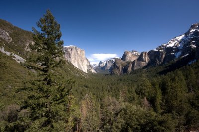 IMG_1617.jpg