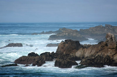 IMG_1686.jpg