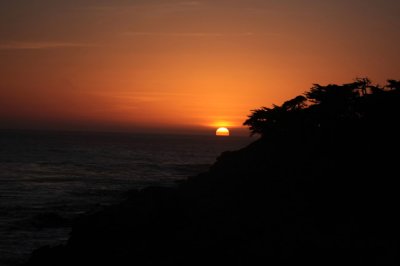 IMG_1848.jpg