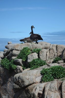IMG_1683.jpg