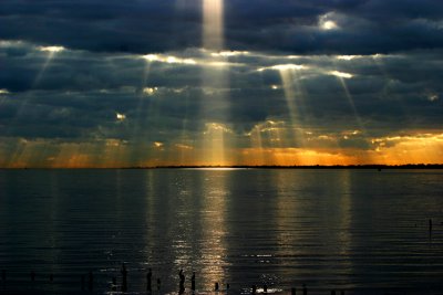 IMG_3442.jpg