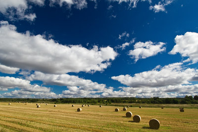 Lithuanian Landscapes