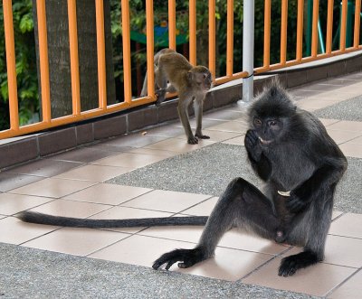 Kuala Lumpur