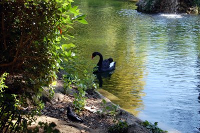 Jardim da Estrela