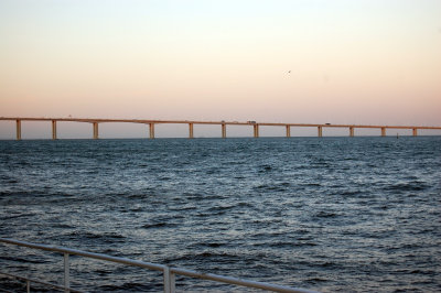 Ponte Vasco Da Gama