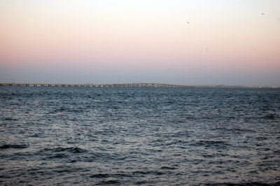 Ponte Vasco Da Gama