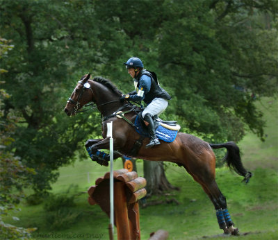 DSC5028_High Flyer.jpg