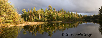 Pond on Rt. 30 Adirondacks.