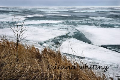 Ice Breaking Up on Lake Ontario