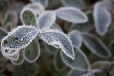 Autumn09-10.jpg