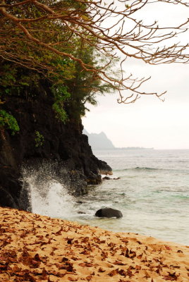 Kauai 0803 277.JPG