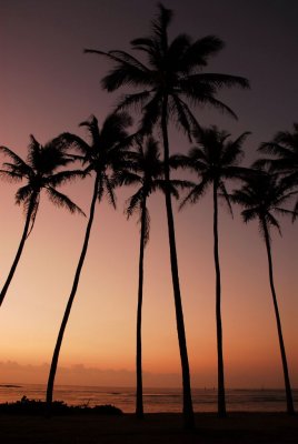 Kauai 0803 415.JPG