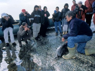 101nunavikc216-87.jpg