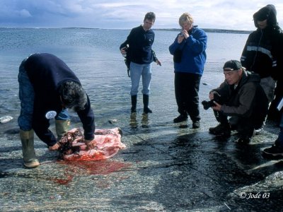 105nunavikc216-92.jpg