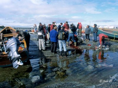 107nunavikc216-96.jpg
