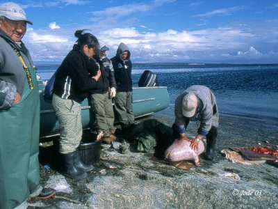 125nunavikc217-08.jpg
