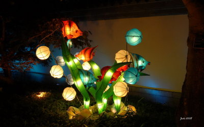 Lanternes chinoises au Jardin Botanique de Montral 2008