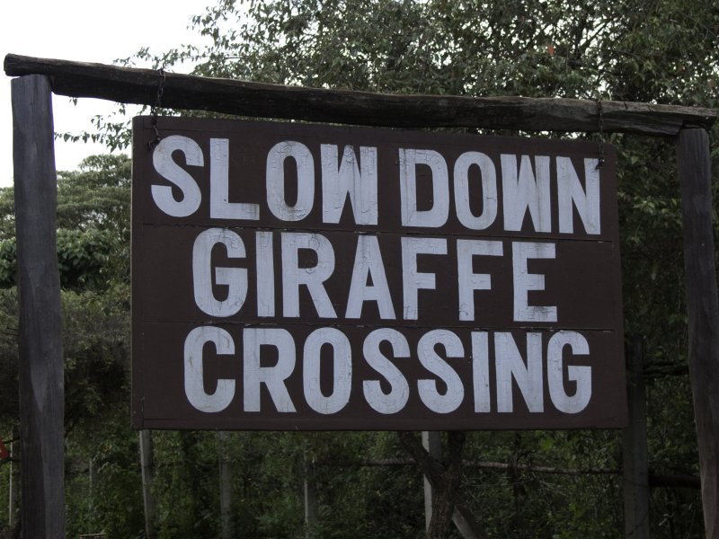 Just outside of Langata Giraffe Center - they mean this too!