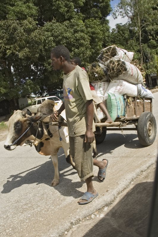 A Zanzibar Ferrari (local saying)
